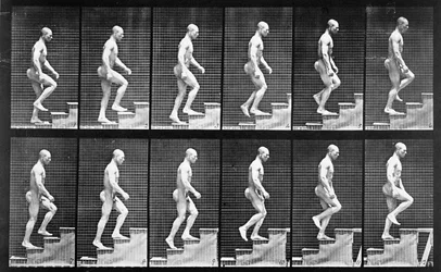 階段を上る男、『動物の運動』より、1887年